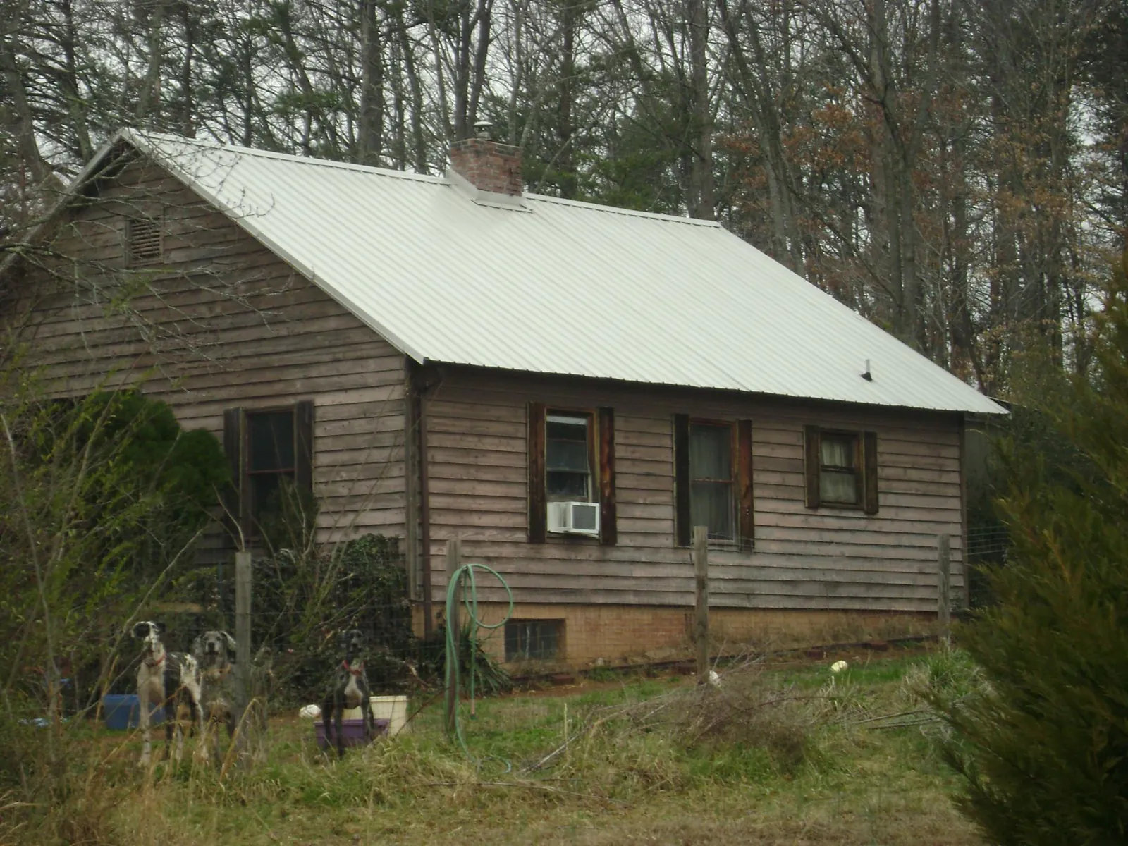 White metal roof on an old wood sided farmhouse, from a Asphalt Shingle Roof Repair job in Granger